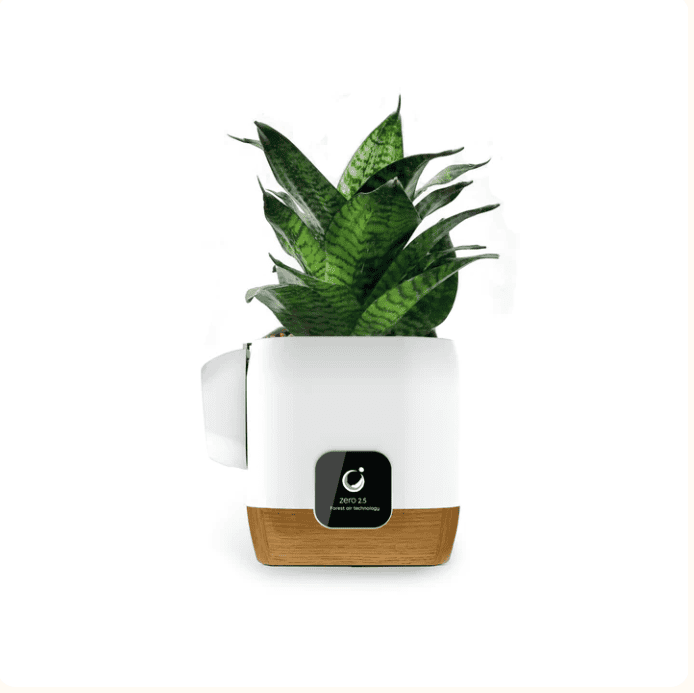 Air Ionizer Zero2.5 without life plants