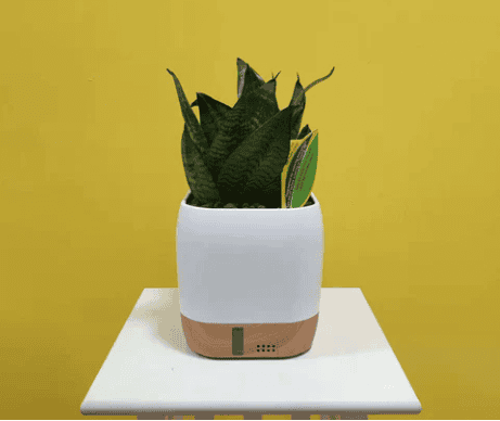 Air Ionizer Zero2.5 without life plants