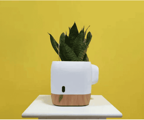 Air Ionizer Zero2.5 without life plants