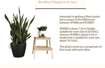Air Ionizer Zero2.5 without life plants