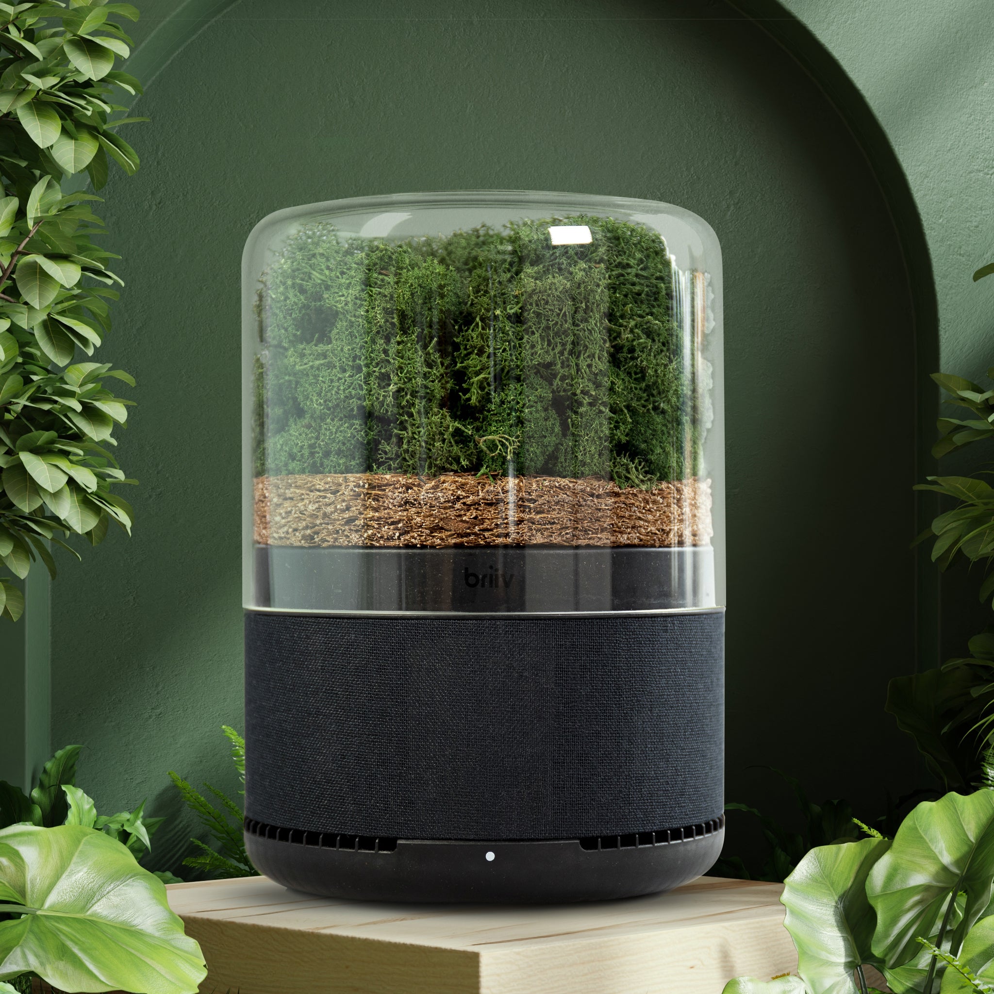 Air Purifier Briiv