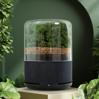 Air Purifier Briiv