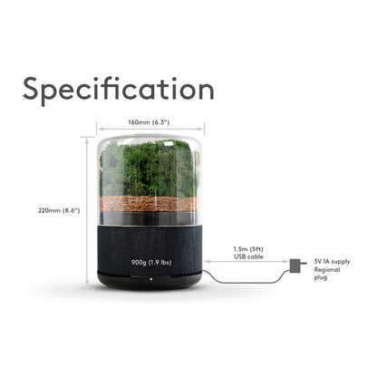 Air Purifier Briiv